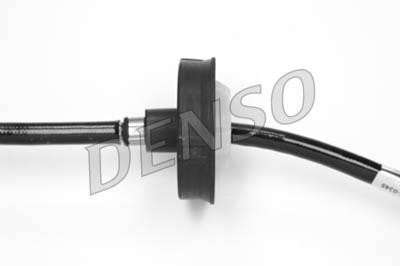 DLS-215