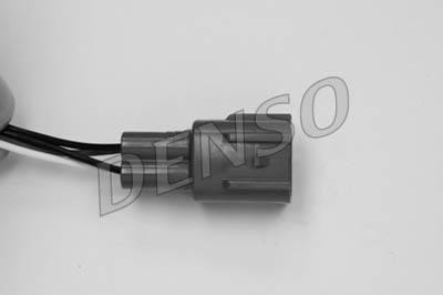 DLS-176
