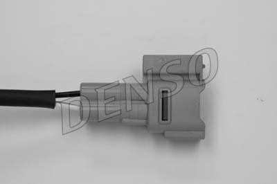 DLS-220