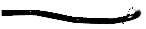 CR-56