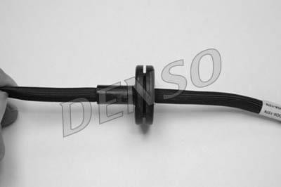 DLS-333