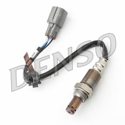 DLS-495