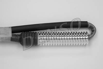 DLS-206