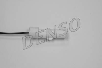 DLS-252