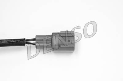 DLS-123