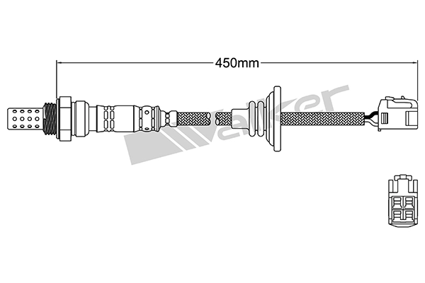 DLS-360