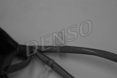 DLS-205