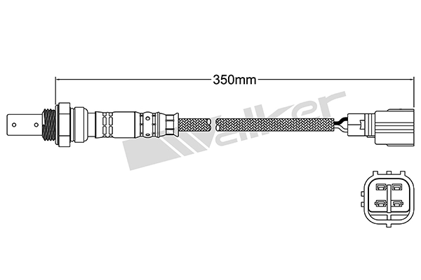 DLS-494