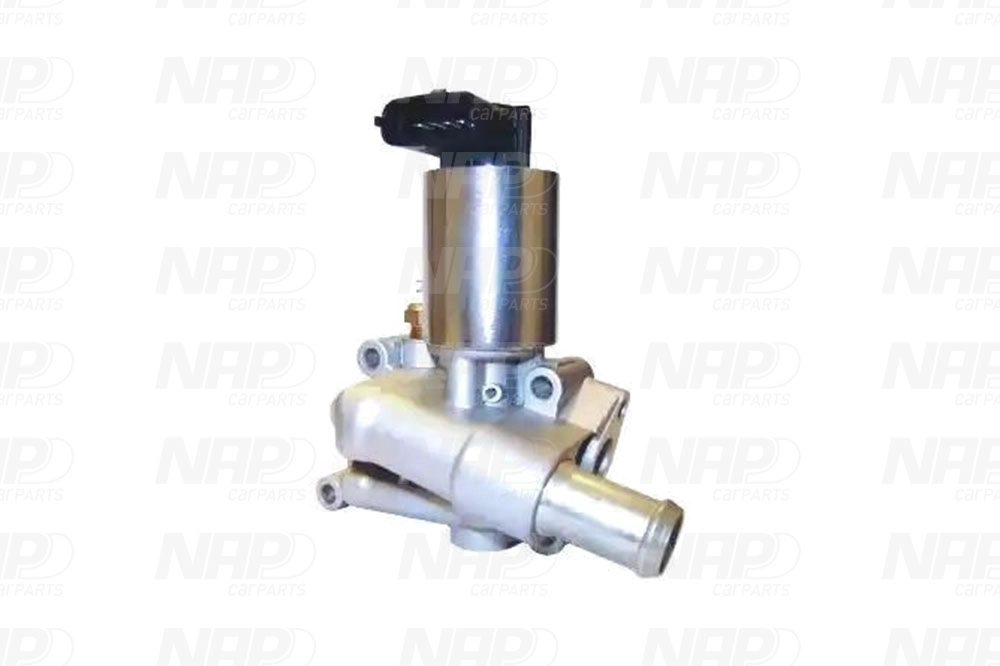 CAV10003