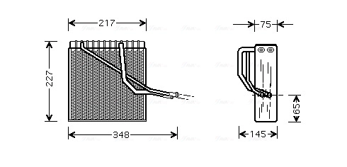 VNV055