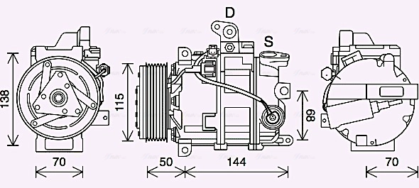 DNAK447