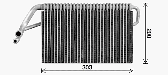 DFV089