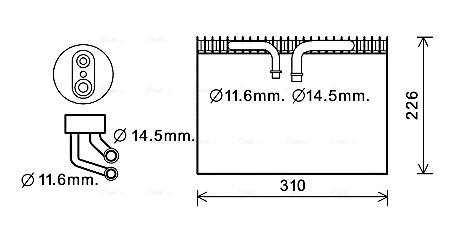 SBV072