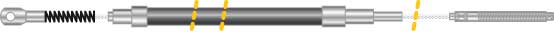CF5579