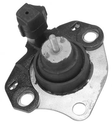 SM1011
