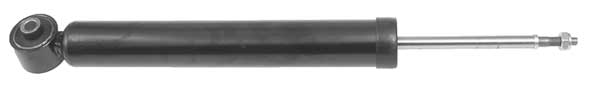 AM5955