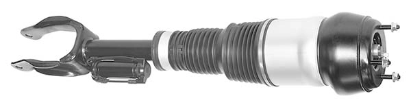 AMP3017