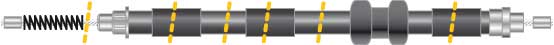 CF5581