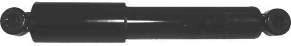 AM5029