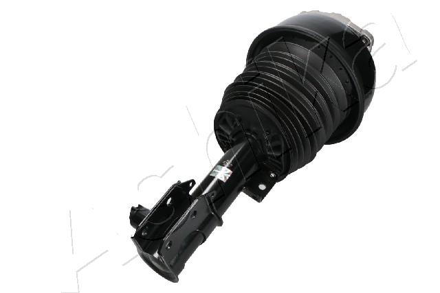 MA-AS219