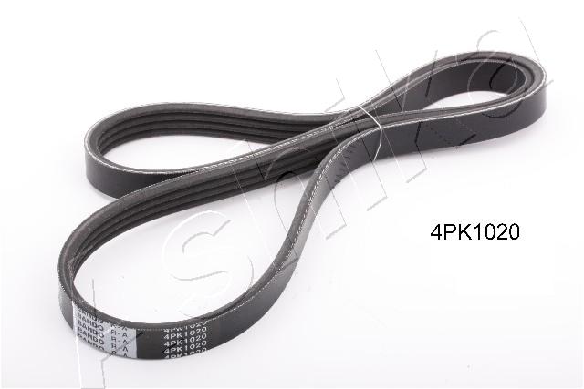 11720V5310
