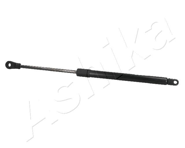 ZSA09160