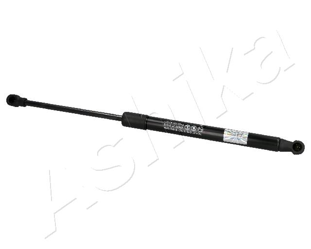 ZSA07066