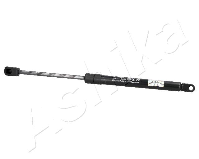 ZSA02084