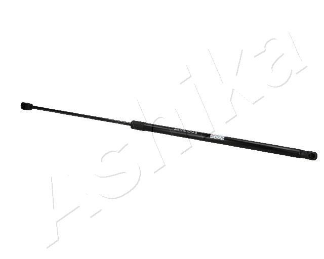 ZSA07065