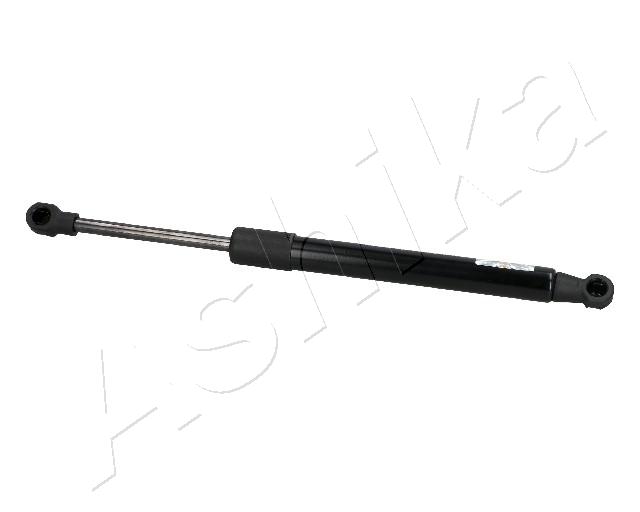 ZSA03089