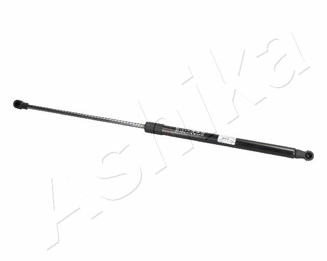 ZSA01079