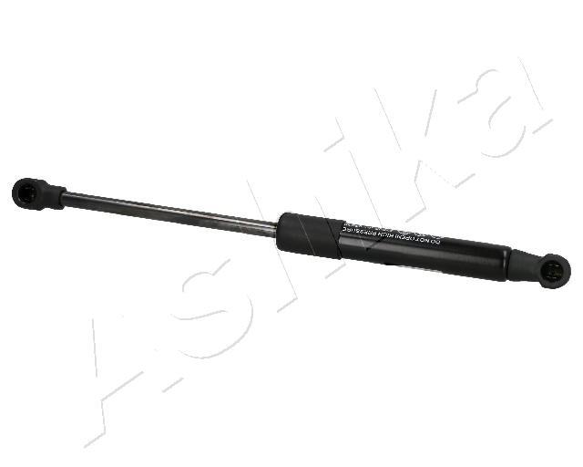 ZSA02025