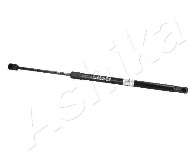 ZSA09155