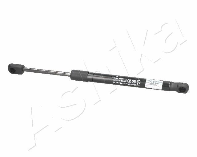 ZSA01069