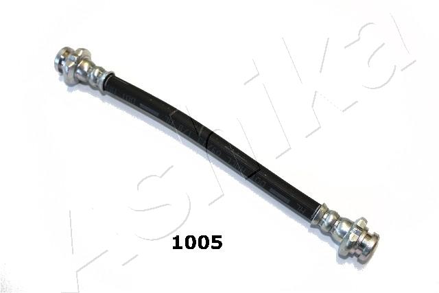 69-01-1005