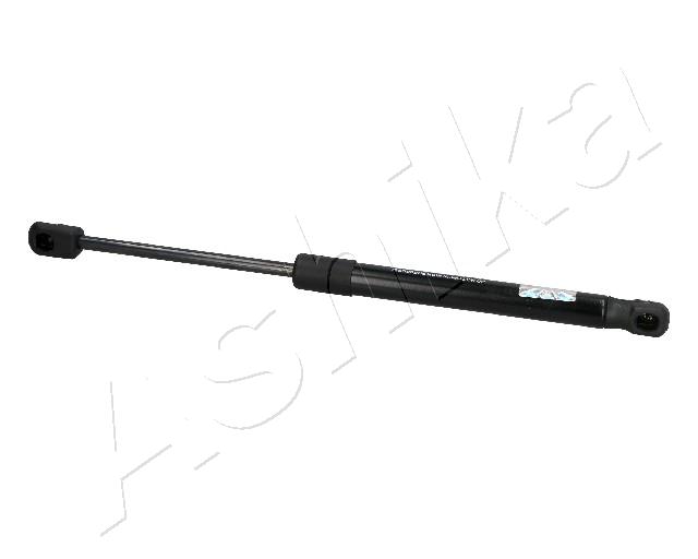 ZSA40031