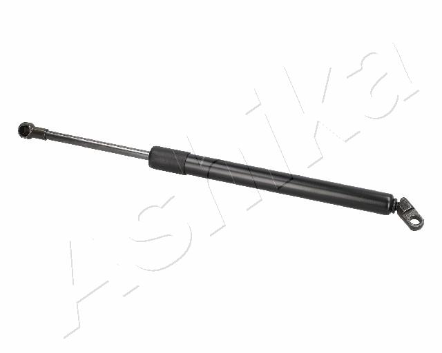 ZSA01072