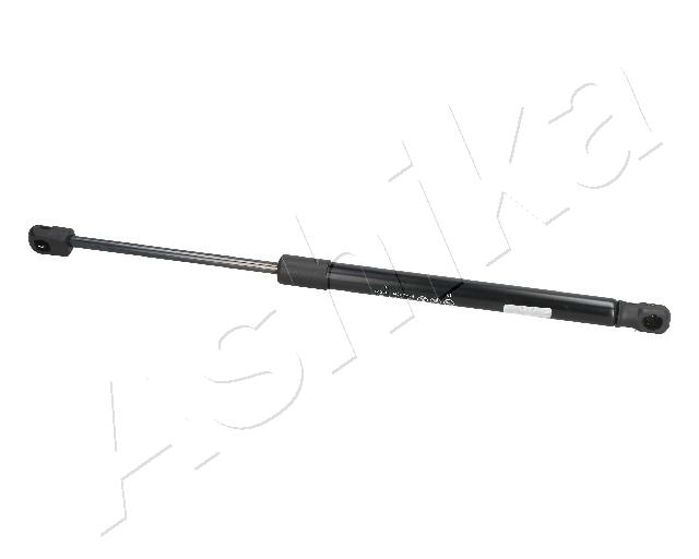 ZSA09041