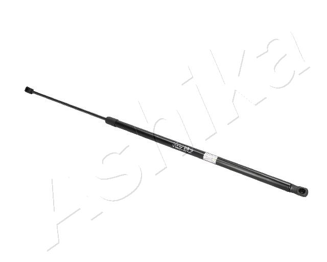 ZSA06017