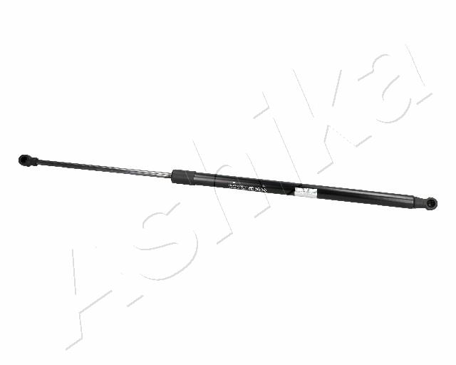 ZSA06099
