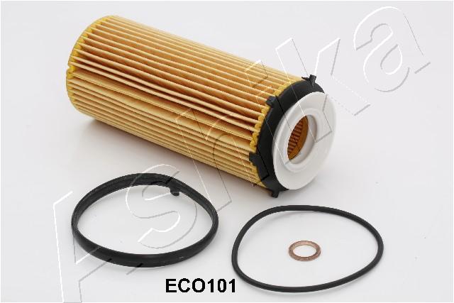 10-ECO101