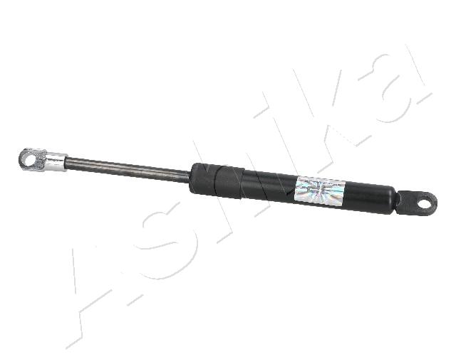 ZSA09099