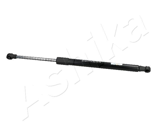 ZSA04039