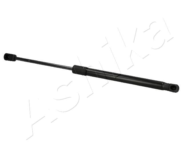 ZSA09013