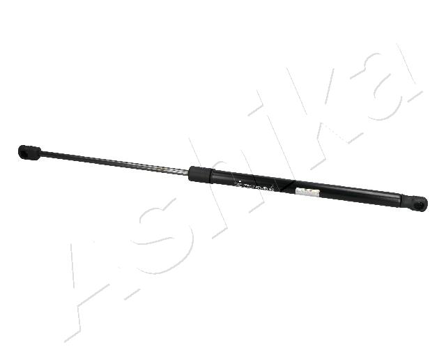 ZSA05043