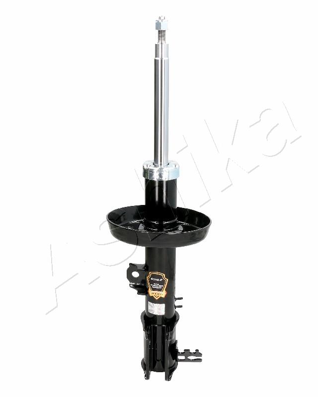 MA-01081