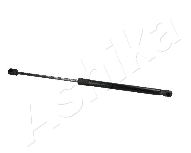 ZSA04029