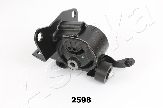 GOM-2598
