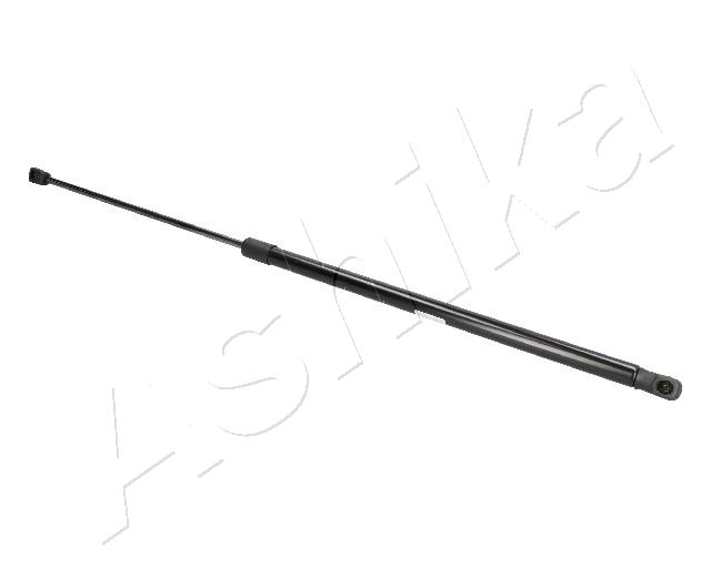 ZSA09195