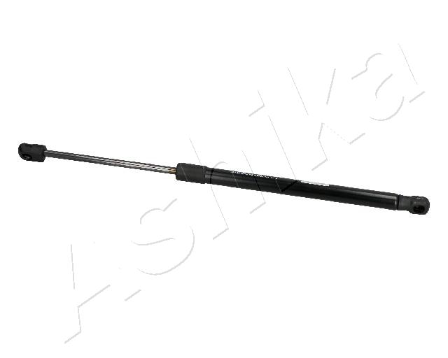 ZSA09220